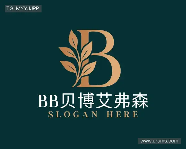 发现BB贝博